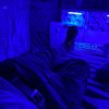 king_lonely25