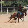 emersonrodrigues8638