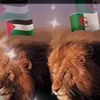 chaimamecemmene