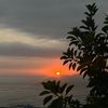 andrechavezzz7