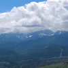 maly_szczupak0
