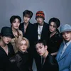 skz.straykits