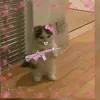 makapowku_u_kemzyn