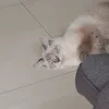 itsmetherusty