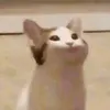 luoovvuu