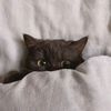 kevin_martin689