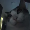 sab0nete_