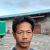 al566733
