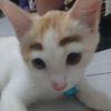 anakk_baikkkkkk_