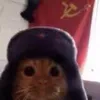 luxubutungtung