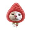 strawbbabiess_sourlovers