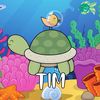 timmytheturtle466
