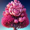 user6680125076292