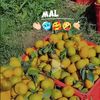 adela12336