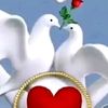 mdsaidurrahman2971