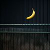 banana_fence1