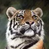 pantherinae90