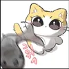 hailo_baby