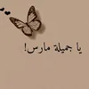ro_ro934