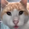 ae_miil