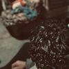 jmzcxx19