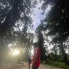 www.tiktok.comsameerlamz