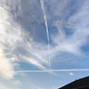 w_n_zyo