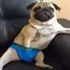 soyadictoarespirar