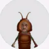 bober_kurva08