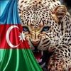 nexus.pmm