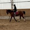 flo.equitation