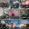 user8480796382881