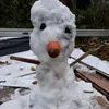 sawez_pro