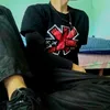 1laucha_1