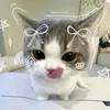 lojayne504
