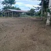odeteperesfilhaod