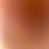 carmansion_2