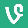 vineAMVS