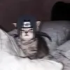 userw20mho17ni