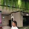 ledinh15_6