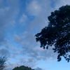 gorontalo8_0