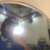 dupinnz