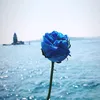 ct.adri_