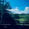 harrisonkf_