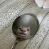 larsie_m