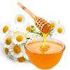 honeydaisy17