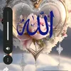 huss.040