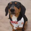 chilidog028
