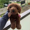 koda_essa