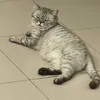 userw2mwh8jd9d